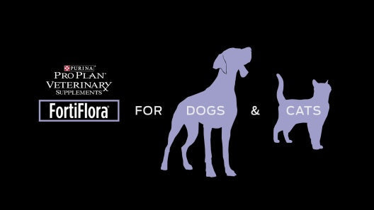 Purina Pro Plan FortiFlora Powder Probiotic